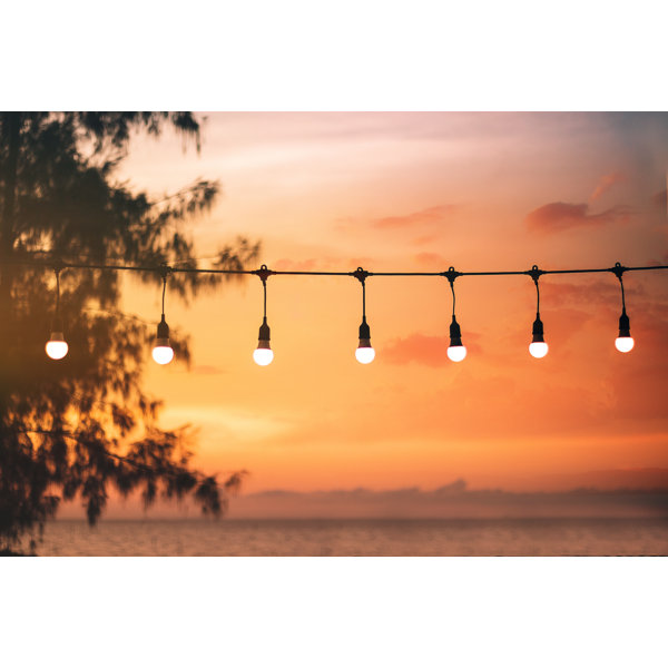 Ebern Designs Yellow String Lights by Thanasus Wrapped Canvas
